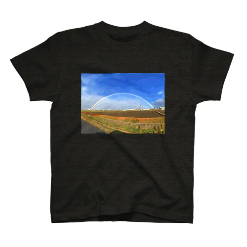 double rainbow Regular Fit T-Shirt