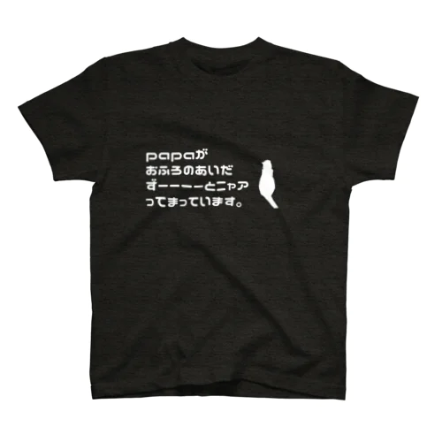 papaがおふろのあいだずーーーーとニャアってまっています。 スタンダードTシャツ