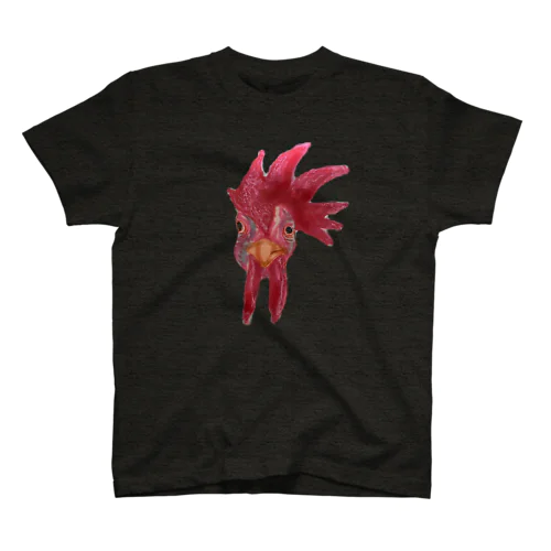 AYAM Regular Fit T-Shirt