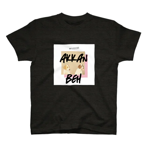 AKKAN-BEH スタンダードTシャツ