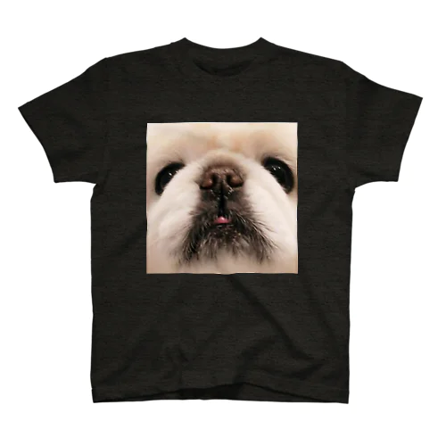 見つめて犬2 スタンダードTシャツ