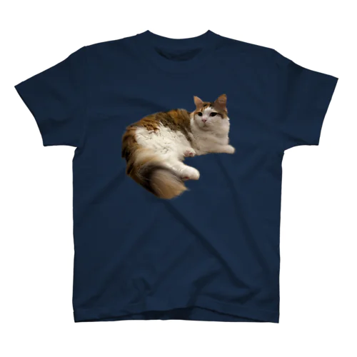 ねこ スタンダードTシャツ