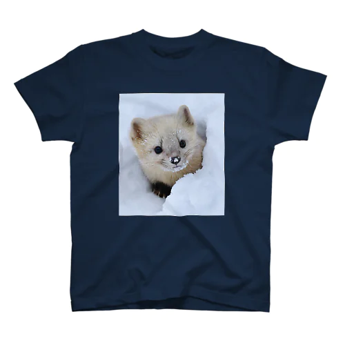 【春の心と体に栄養】サロベツのエゾクロテン Regular Fit T-Shirt