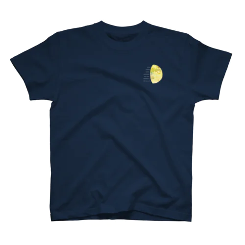 地球と月の満ち欠け(地球から見た月) 黒地用 Regular Fit T-Shirt