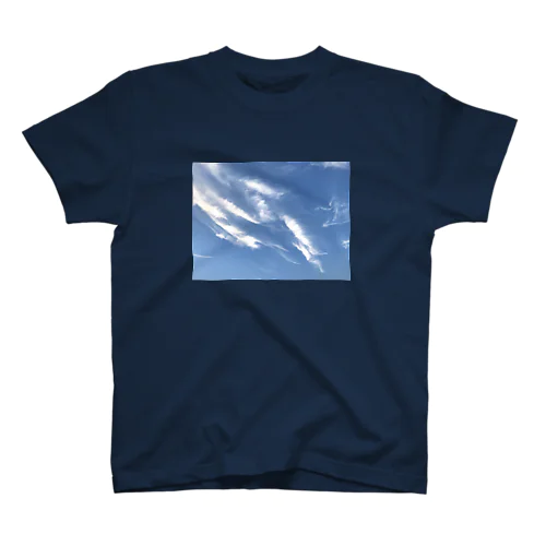 お魚みたいな雲の空 スタンダードTシャツ