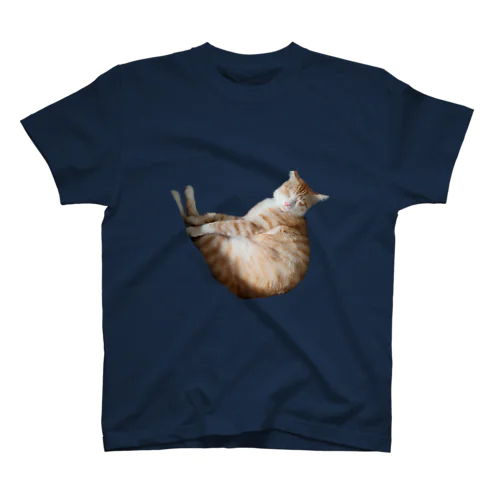 変な格好で寝る猫シリーズ スタンダードTシャツ