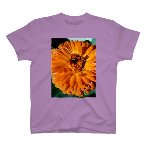 太陽の光とともに Regular Fit T-Shirt