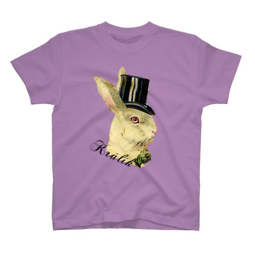 Králík Regular Fit T-Shirt