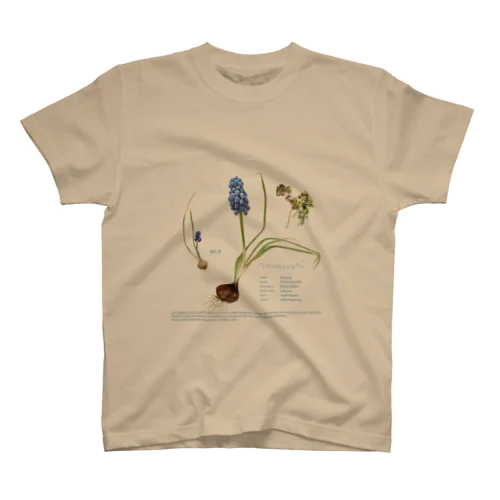 私たちの菜園から ムスカリ スタンダードTシャツ