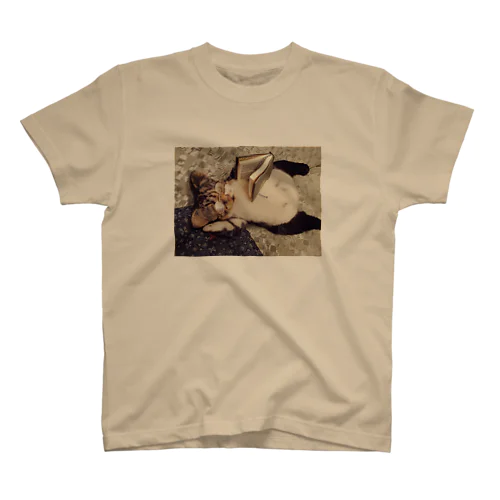 ねこのおっちゃん・リラックスタイム Regular Fit T-Shirt