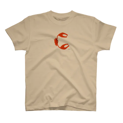 アルファベットTシャツC3 Regular Fit T-Shirt