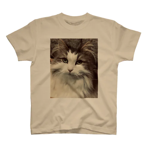 もふ猫Ｔシャツ Regular Fit T-Shirt