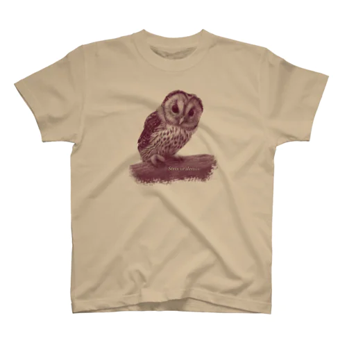 フクロウの巣立ちびな（★寄付） Regular Fit T-Shirt