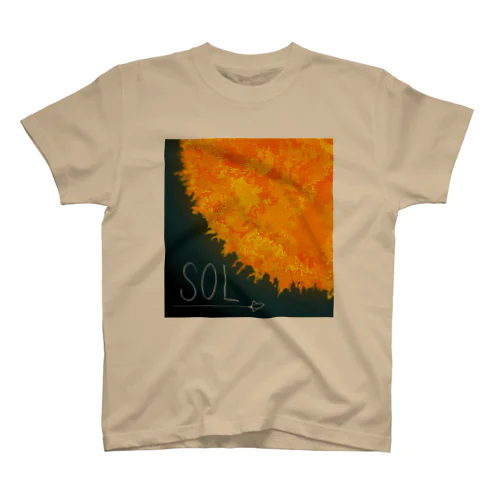 SOL Regular Fit T-Shirt