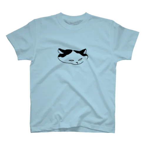 funny Regular Fit T-Shirt