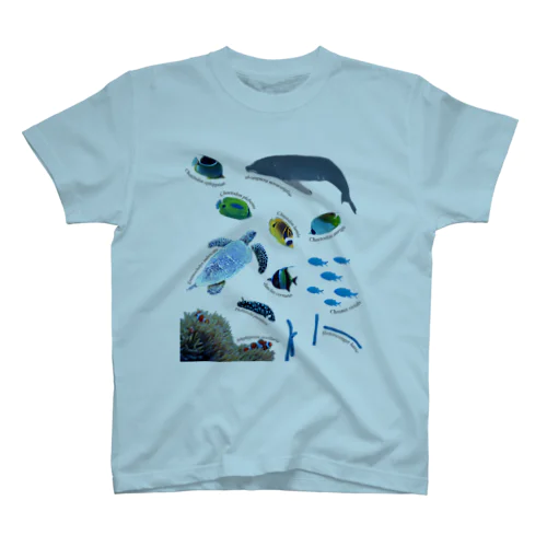 沖縄の海の生き物 スタンダードTシャツ