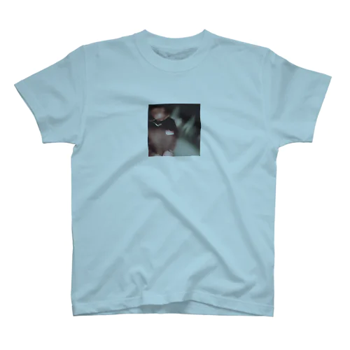 Fadeout Regular Fit T-Shirt