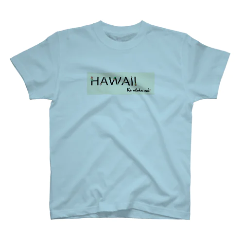 HAWAII　プルメリア Regular Fit T-Shirt
