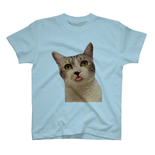 んべ、な保護猫ルッコラ Regular Fit T-Shirt