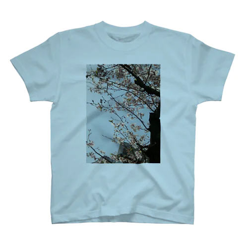 中庭桜 スタンダードTシャツ