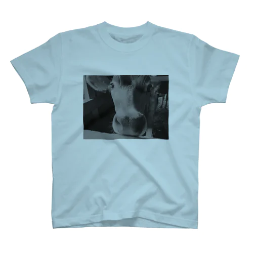 limited　cow Collection スタンダードTシャツ