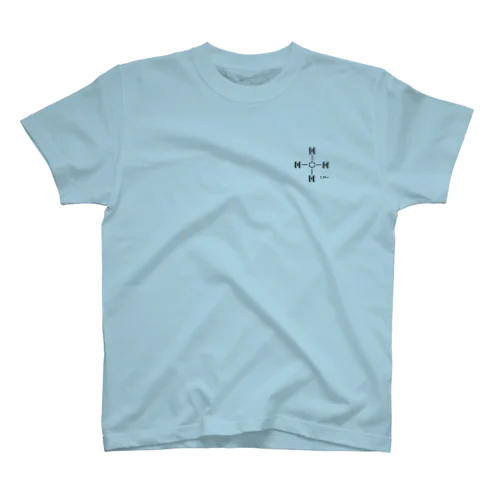 KGK_CH4（淡） Regular Fit T-Shirt