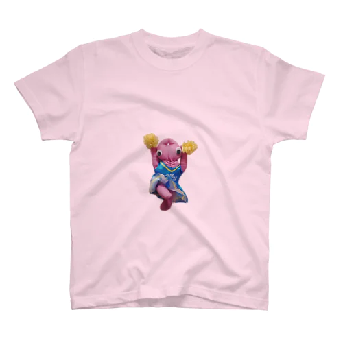   Berchin 🤸‍♀️Cheer leader🤸‍♀️ T shirt Regular Fit T-Shirt