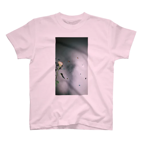 バラとCDの裏のキラキラ Regular Fit T-Shirt