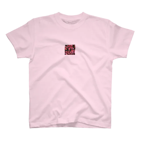 red reef tee スタンダードTシャツ