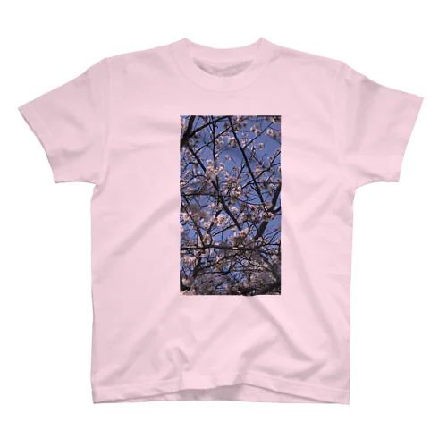青空と桜🌸 スタンダードTシャツ