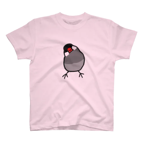 かしげる文鳥　桜文鳥 スタンダードTシャツ