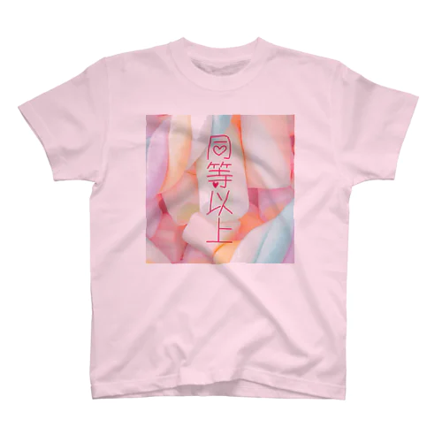 同等以上B スタンダードTシャツ