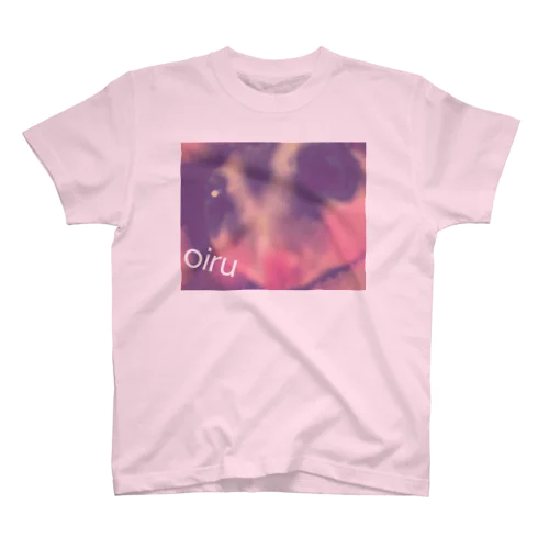 oiru スタンダードTシャツ