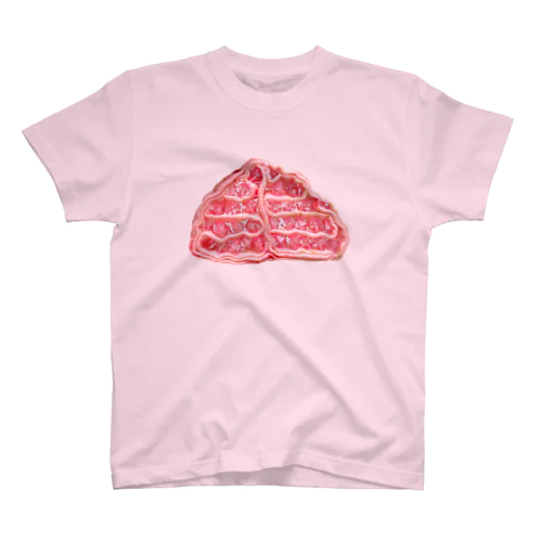 brain Regular Fit T-Shirt