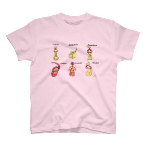  食虫植物　Nepenthesシリーズ　6品種 スタンダードTシャツ