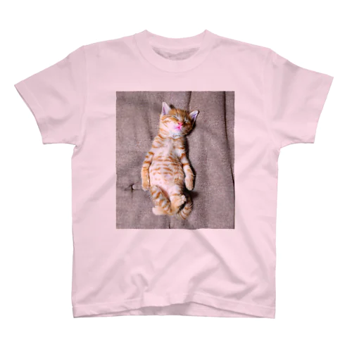 猫のしんのすけ Regular Fit T-Shirt