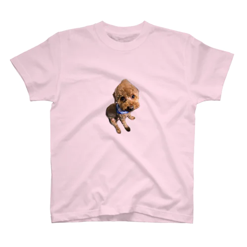 犬 スタンダードTシャツ