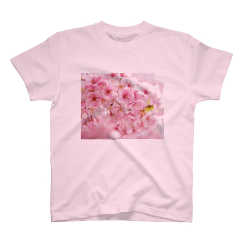 桜の樹の下で スタンダードTシャツ