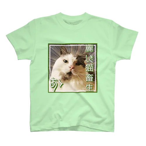 猫畜生(麗) スタンダードTシャツ