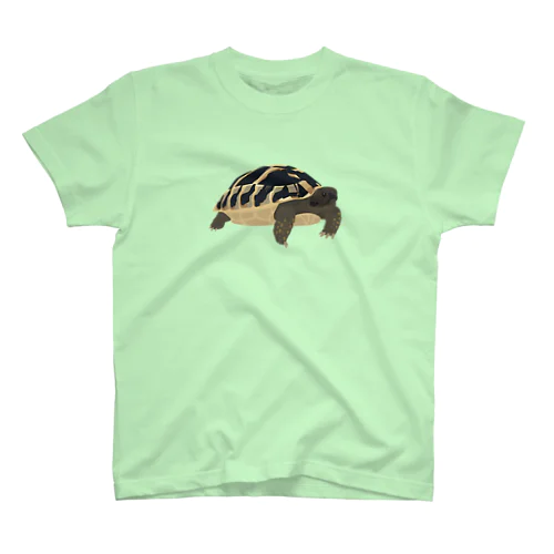 ヘルマンリクガメ Regular Fit T-Shirt