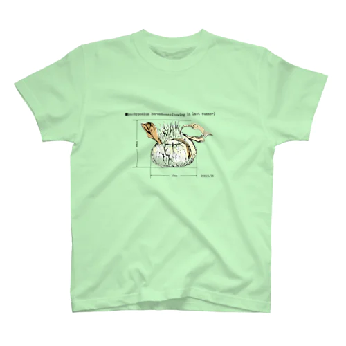 パキポ-ホロ Regular Fit T-Shirt