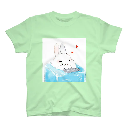 氷の穴にピッタリ入ったうららでした！ スタンダードTシャツ