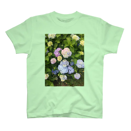 紫陽花 スタンダードTシャツ