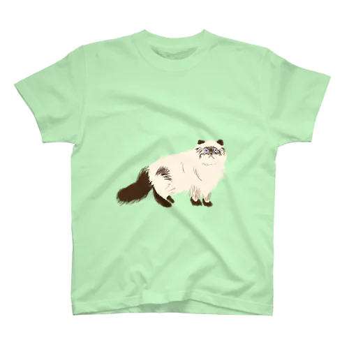 タヌキじゃ無いよ。ネコです。 Regular Fit T-Shirt