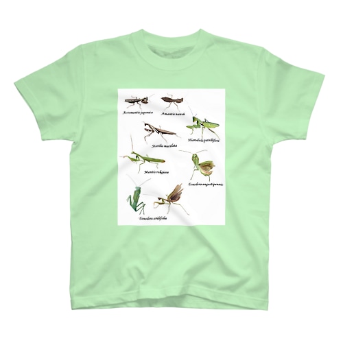 関東のカマキリ（旧学名）（背景白色ver） Regular Fit T-Shirt