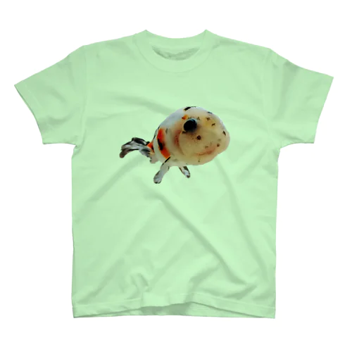 金魚のキャンティー🧜‍♀ スタンダードTシャツ