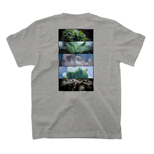 多肉植物のある生活 スタンダードTシャツ