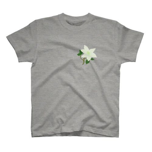 flower F-2 Regular Fit T-Shirt