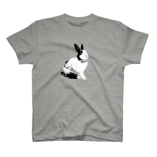 Dressed up rabbit Regular Fit T-Shirt
