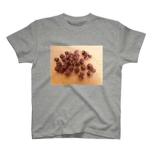 ♪この実何の実木になる桧の実 Regular Fit T-Shirt